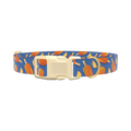 Citrus Popsicle Dog Collar - plastic silver