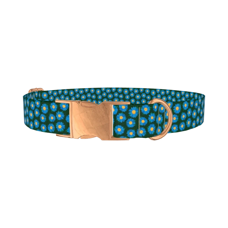 Blue Daisy Floral Dog Collar - metal rose gold