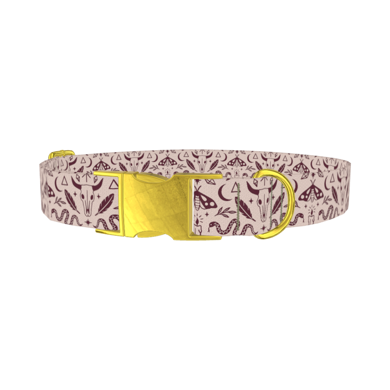 Halloween Witchy Dog Collar - metal gold