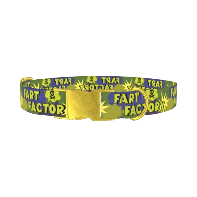 Comic Explosion Dog Collar - metal gold