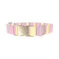 Geometric Stripe Dog Collar - metal gold