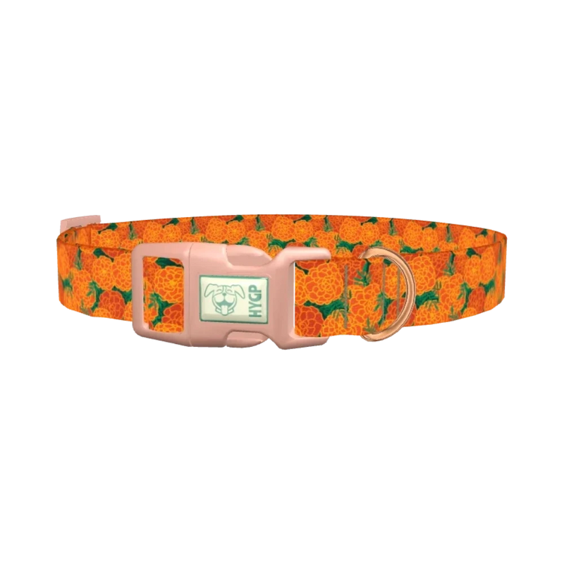 Floral Marigold Dog Collar - plastic rose gold
