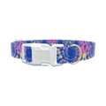 Tie-Dye Spiral Dog Collar - plastic rose gold