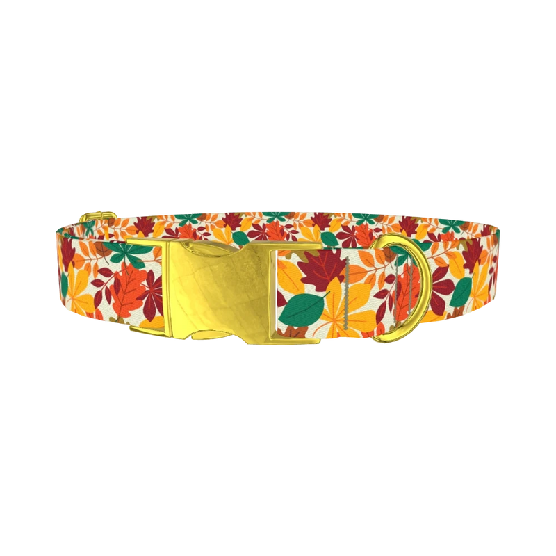 Multicolor Leaf Pattern Dog Collar - metal gold