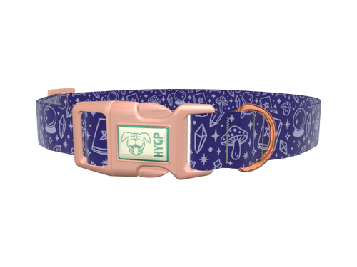 Mystical Witchcraft Dog Collar