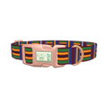 Azure Brown Green Stripe Dog Collar - plastic rose gold