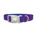 Blue Purple Gradient Dog Collar - plastic silver
