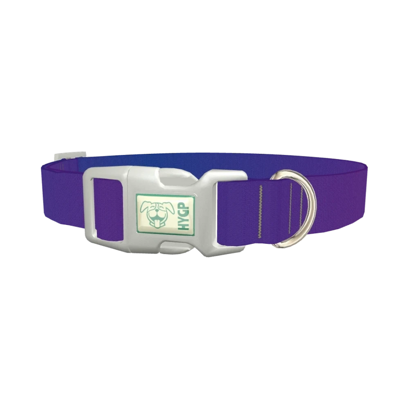 Blue Purple Gradient Dog Collar - plastic silver