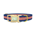 Navy Red Stripe Dog Collar - plastic gold