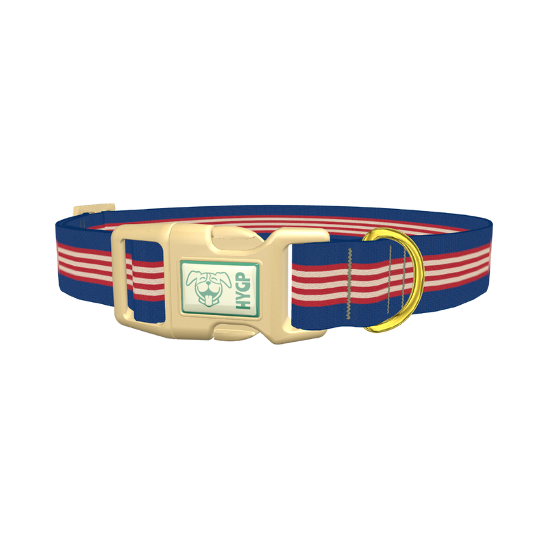 Navy Red Stripe Dog Collar - plastic gold