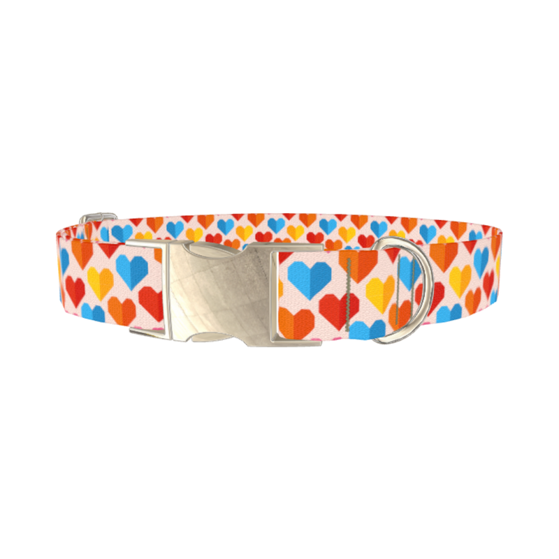 Colorful Geometric Heart Dog Collar - metal silver