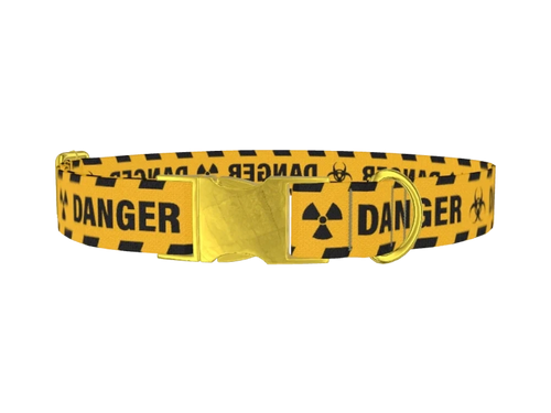WORDS3_Danger1