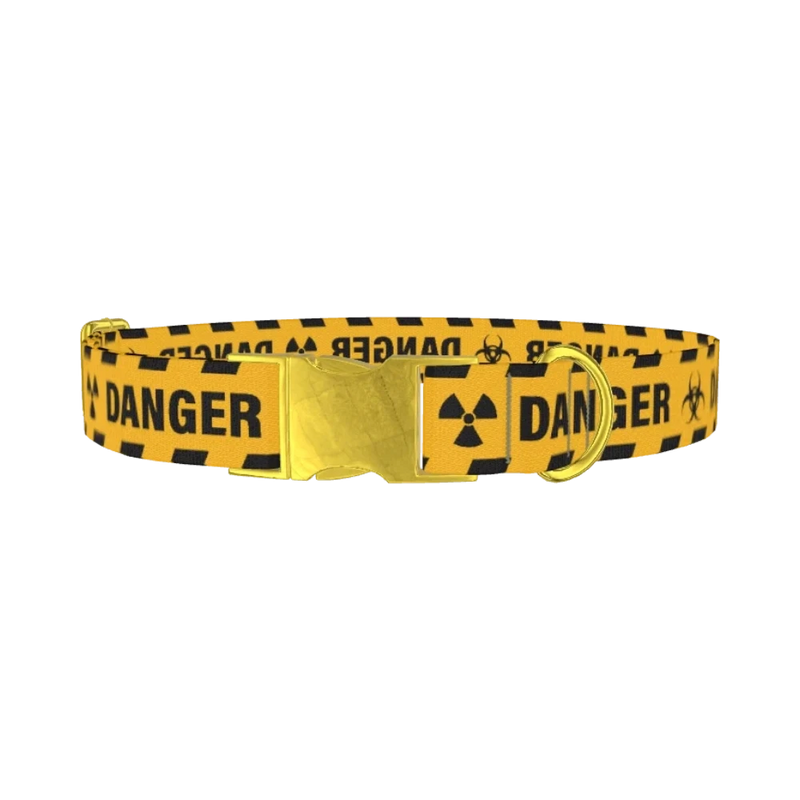 Hazard Warning Dog Collar - metal gold