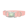 Red Polka Dot Dog Collar - plastic silver