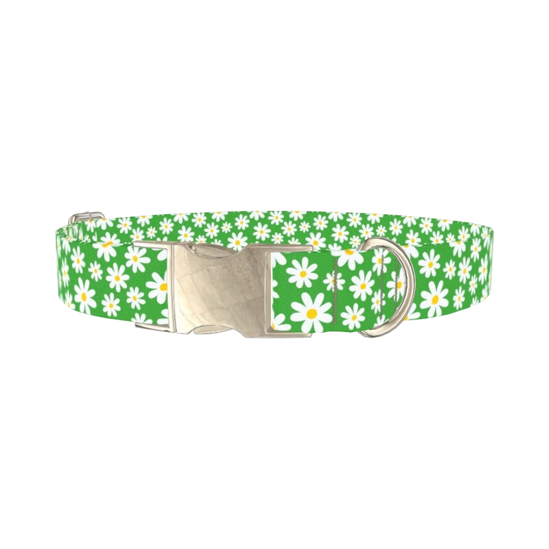 Green Daisy Meadow Dog Collar - metal silver