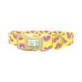 Grapefruit Slice Dog Collar - plastic gold