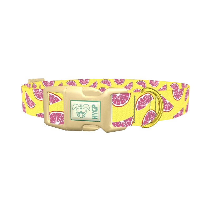 Grapefruit Slice Dog Collar - plastic gold