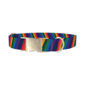 Geometric Rainbow Dog Collar - metal silver
