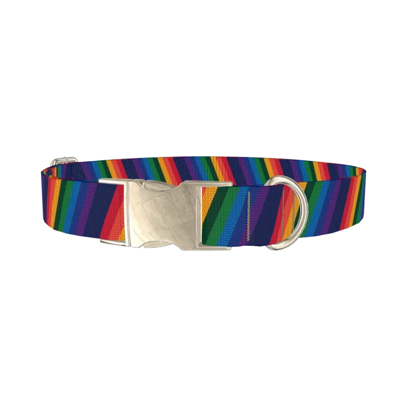 Geometric Rainbow Dog Collar - metal silver