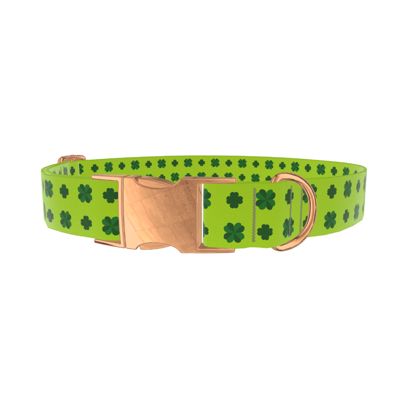Clover St. Patrick's Dog Collar - metal silver
