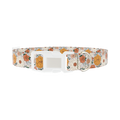 Colorful Floral Dog Collar - plastic silver