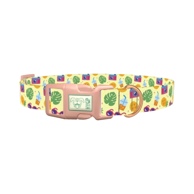 Pineapple Beach Dog Collar - plastic rose gold