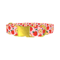 Apple Fruit Dog Collar - metal gold
