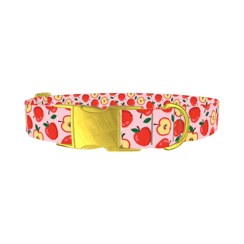 Apple Fruit Dog Collar - metal gold