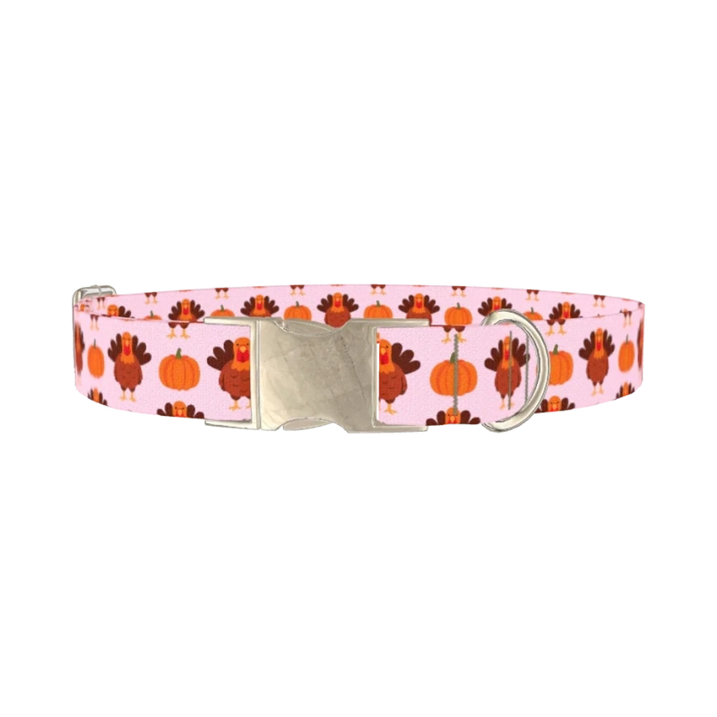 Turkey Pumpkin Pattern Dog Collar - metal silver