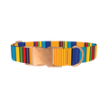 Vibrant Stripe Dog Collar - metal rose gold
