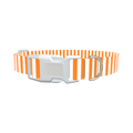 Halloween Stripes Dog Collar - plastic gold