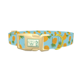 Blue Pineapple Dog Collar - plastic gold