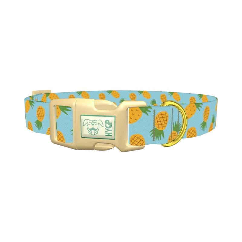 Blue Pineapple Dog Collar - plastic gold