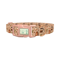 Coffee Berry Dog Collar - plastic rose gold