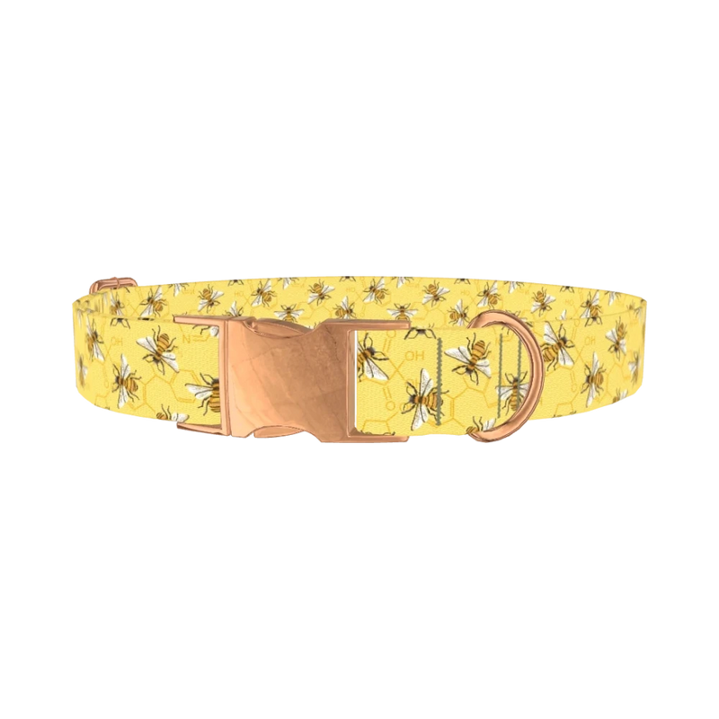 Bee Science Dog Collar - metal rose gold