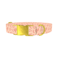 Holiday Western Cactus Dog Collar - metal gold