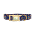 Sunburst Conch Dog Collar - plastic silver