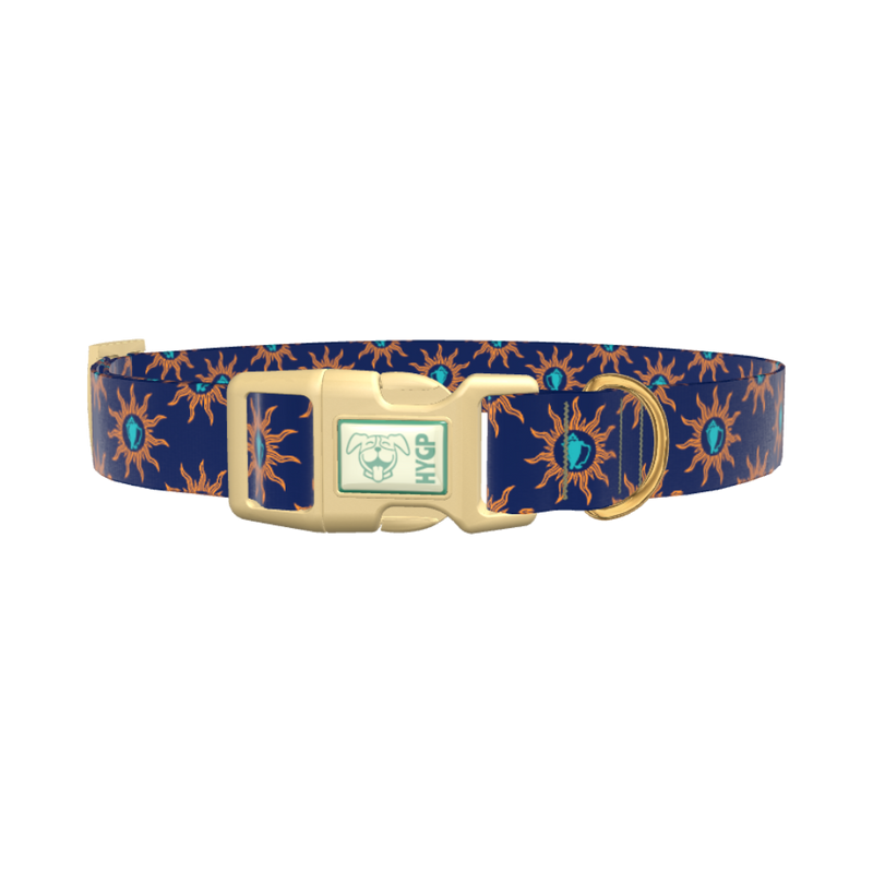 Sunburst Conch Dog Collar - plastic silver