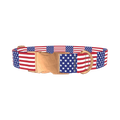 Patriotic American Flag Dog Collar - metal rose gold