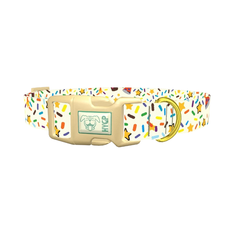 Birthday Boy Celebration Dog Collar - plastic gold