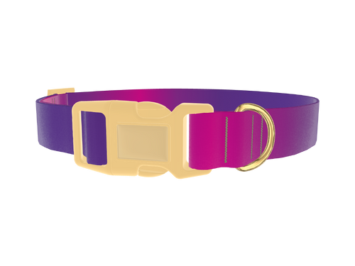 Pink Purple Gradient Dog Collar