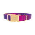 Pink Purple Gradient Dog Collar - plastic gold