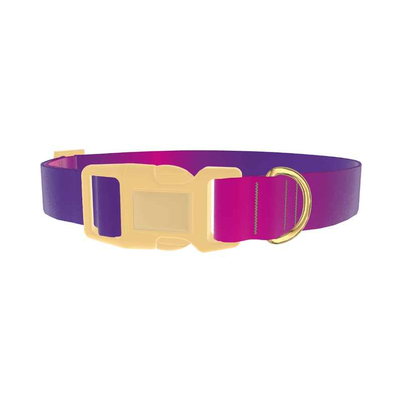 Pink Purple Gradient Dog Collar - plastic gold
