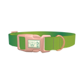 Green Gradient Dog Collar - plastic rose gold