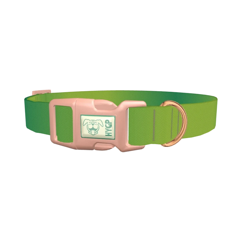 Green Gradient Dog Collar - plastic rose gold