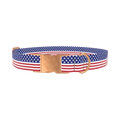 Patriotic Stars Dog Collar - metal rose gold