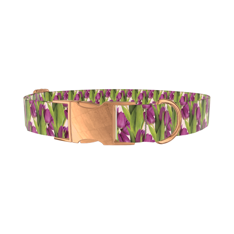 Purple Tulip Pattern Dog Collar - metal rose gold