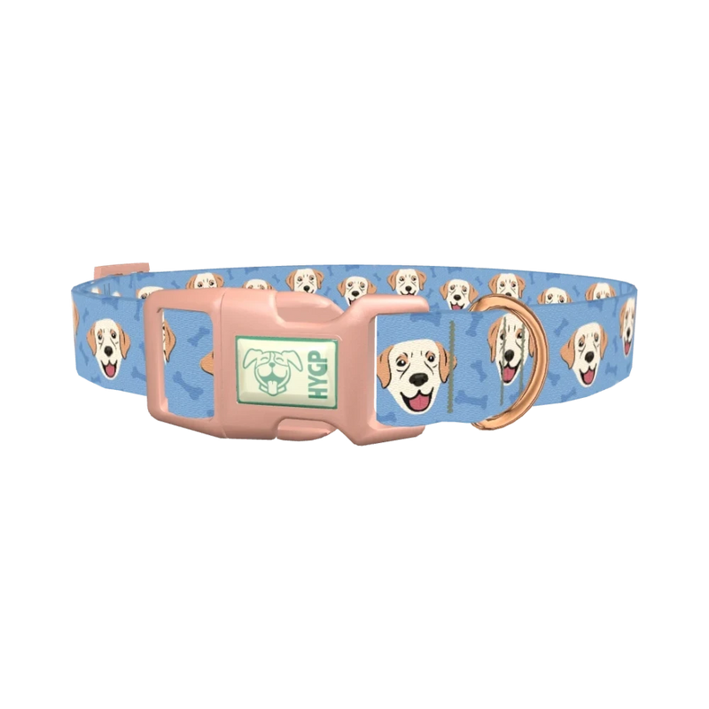 Labrador Dog Collar - plastic rose gold