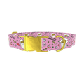 Noodle Takeout Dog Collar - metal gold