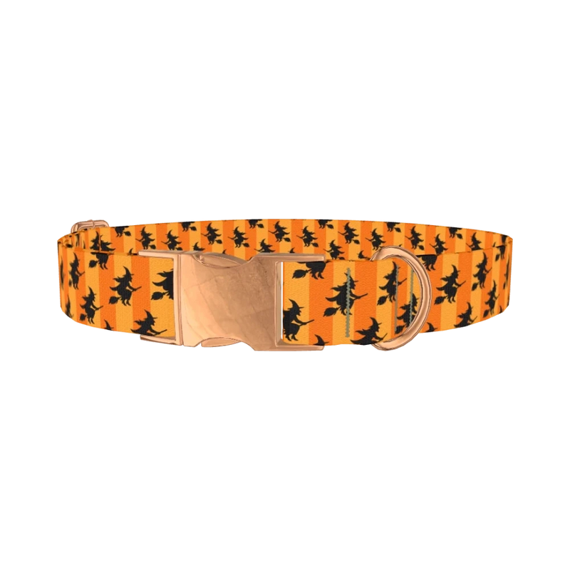 Halloween Witch Stripes Dog Collar - metal rose gold